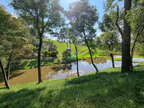 Imagem 15 de 30 de Linda Chacará Com Mais De 36.000 M², Situada Na Cidade De Quitandinha, Paraná. - Ch00019 - 70570203