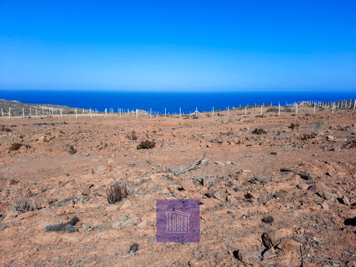 Imagen 3 de 14 de !oportunidad Única!- Venta Parcela-sector Arrayan, La Serena