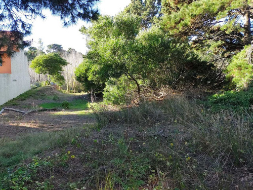 Imagen 3 de 4 de Lote Sobre Nivel De Calle Con Buena Forestación, Mar Azul