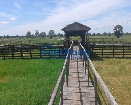 Fazenda - Fa00006 - 68495881