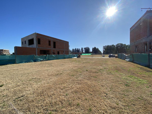 Imagen 2 de 9 de ¡oportunidad! Lote Interno - Bº Santa Ana - Villanueva - Tigre - Apto Para Construir Ya!!!