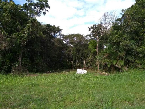 Imagem 1 de 1 de Terreno - Venda - Jequitiba - Itanhaem - Ita2555
