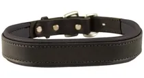 Comprar Collares De Perro Acolchados De Cuero De Perri En Colores Me