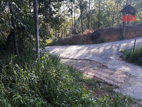 Imagem 5 de 7 de Terreno À Venda, 250 M² Por R$ 100.000,00 - Olho D'água - Mairiporã/sp - Te0226