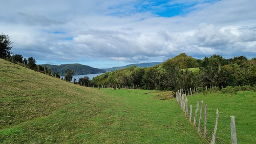 Vende Hermoso Predio De 7,38 Hás En Isla Tranqui, Chiloé!