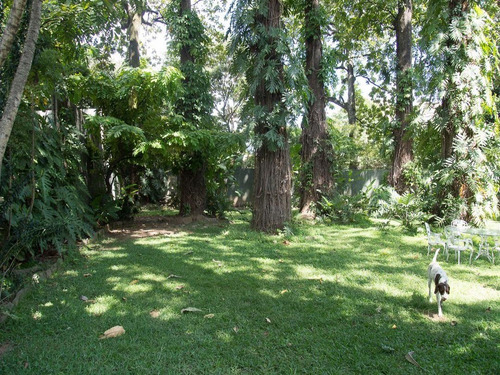 Imagen 5 de 9 de Se Vende Terreno 5000m² - Country Club