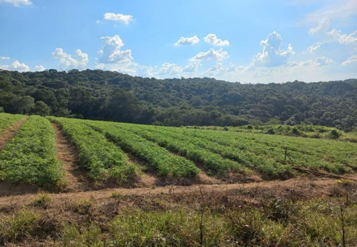 Imagem 4 de 30 de 20o Terreno Em Cotia Com 600m Em Cotia