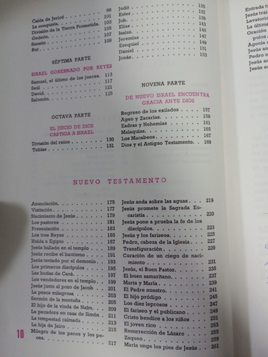 Biblia Juvenil (Usado)