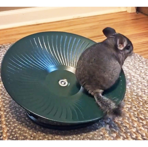 Rueda De Ejercicio Para Chinchillas Y Roedores 14 Pulgadas N Negro