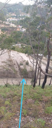 Imagen 9 de 14 de Terreno 867m2 Plano Colinas De Carrizal Avp
