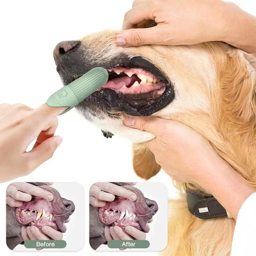Juego De Cepillos Dientes Para Perros Y Gatos De 2 Piezas