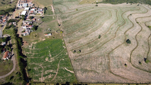 Imagem 3 de 12 de Chácaras De 5000 Metros Em Pardinho Km 198 Da R. Castelo Branco - Exclusivo - 73