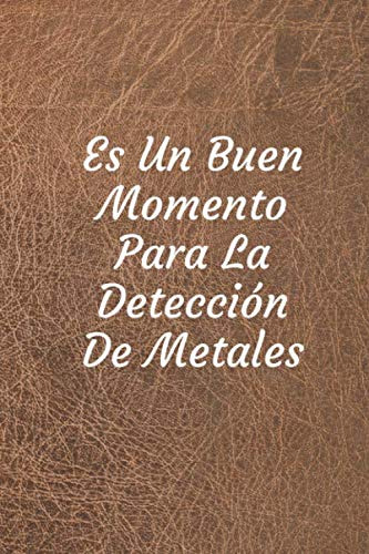 Es Un Buen Momento Para La Deteccion De Metales: Diario De B