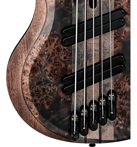 Contrabaixo Ibanez 5 Cordas Multiscale Btb805ms C/ Case Acabamento do corpo Fosco Cor TGF : Transparent Gray Flat Orientação da mão Destro