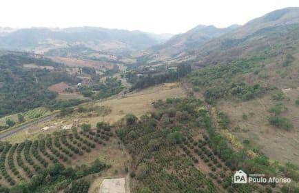 Imagem 10 de 11 de Sítio À Venda, 25379 M² Por R$ 290.000,00 - Zona Rural De Aguas Da Prata - Águas Da Prata/sp - Si0023