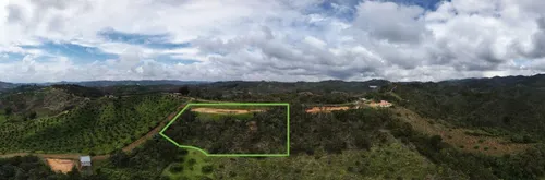 Lote De 5.000 M2 En San Vicente Ferrer, Vereda Montegrande Vía A Concepción