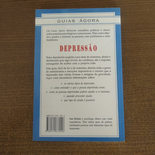 Livro Depressão: Esclarecendo Suas Dúvidas - Sue Breton (Usado)