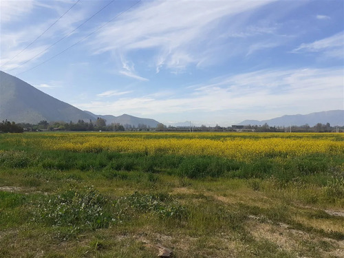 Ultimas Dos Parcelas En Venta En Isla De Maipo