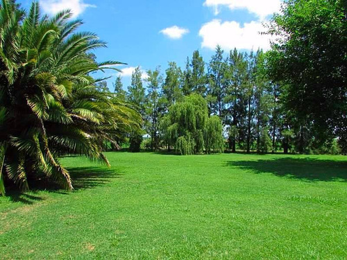 Venta Campo De 58hs Con Casco Moderno En Lobos