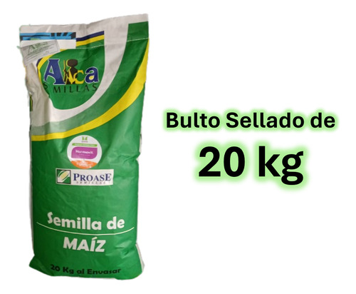 Semilla De Maiz Variedad Costeño Mejorado Hojero