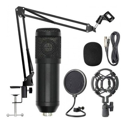 Microfono Condensador Bm-800 Podcast Youtube 