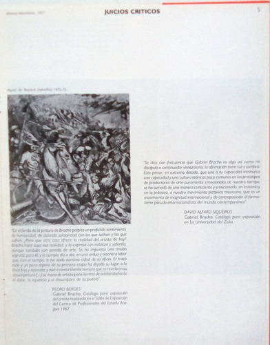Gabriel Bracho. Naturaleza E Historia. Catálogo.