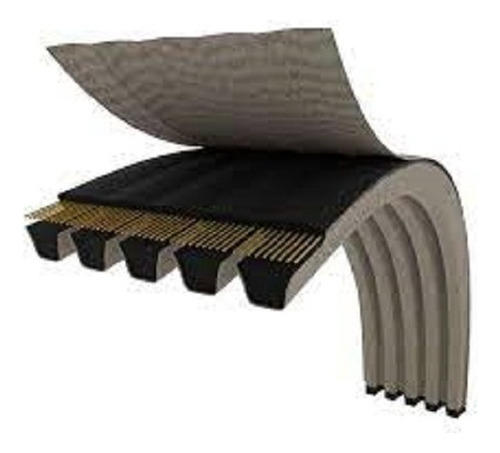 Banda Multiple Lisa B83 ( 21 Costillas ) Black Gold