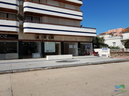 Imagen 19 de 22 de Alquilo O Vendo Local A La Calle En Punta Del Este, Peninsula. - Punta Del Este Peninsula