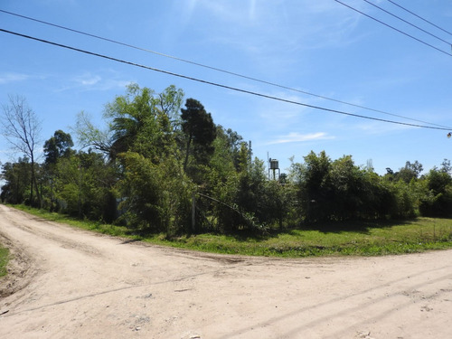 Gran Terreno Con Casa 3 Amb Y Pileta, Ubicado En Juan Bautista Alberdi Y Bouchard , San Vicente
