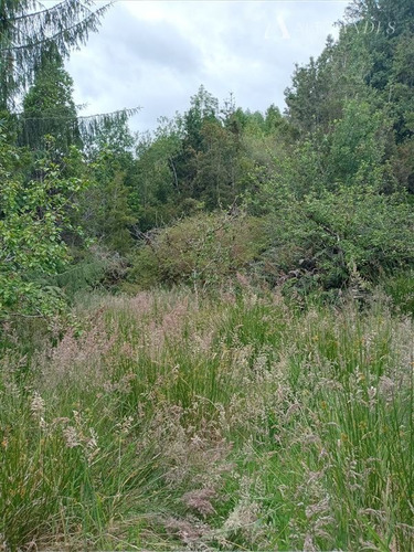 Imagen 4 de 13 de Sitio Isla En Venta En Cisnes