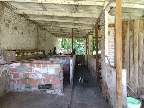 Chácara 16.000 M² - Rincão São João - Glorinha - Rs - 2238 - 34456025