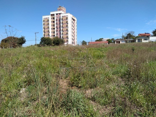 Imagem 3 de 7 de Terreno - Centro - Ref: 29590 - V-29588