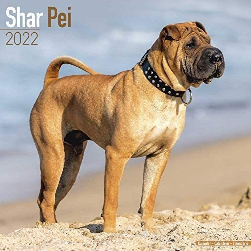 Libro: Calendario Shar Pei Calendarios De Razas De Perros De