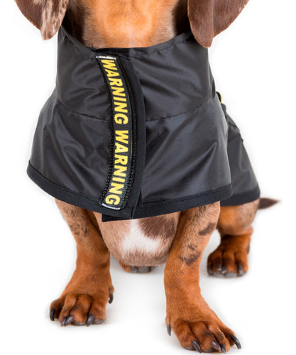 Piloto Tipo Capa Impermeable Perro. Cuadros. Lluvia. Grandes
