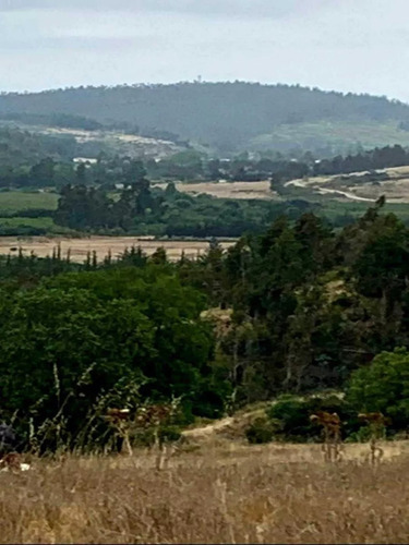 Espectacular Terreno A 30 Minutos De Puertecillo