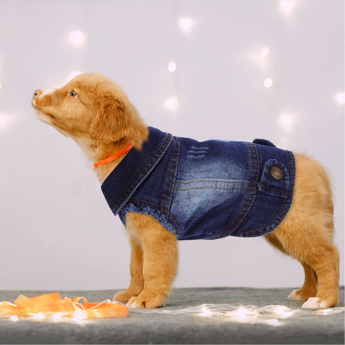 Chaleco Para Mascotas, Chaleco Otoñal Para Perros, Ropa Para