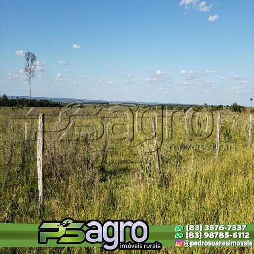 Imagem 8 de 13 de Área À Venda, 1115 Alqueires Por R$ 73.144.000 - Centro - Tacuru/ms - Ar0029