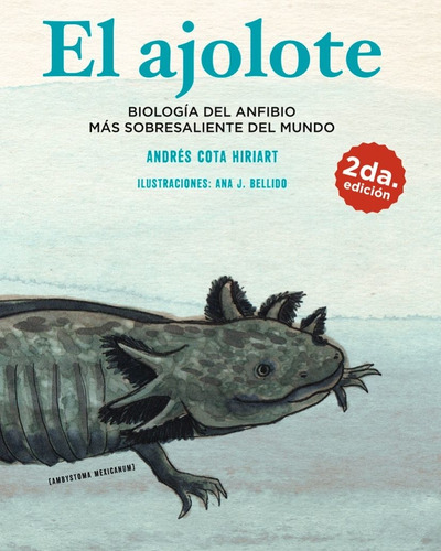 El ajolote. Biología del anfibio más sobresaliente del mundo, de Cota Hiriart, Andrés. Editorial Elefanta Editorial, tapa blanda en español, 2022