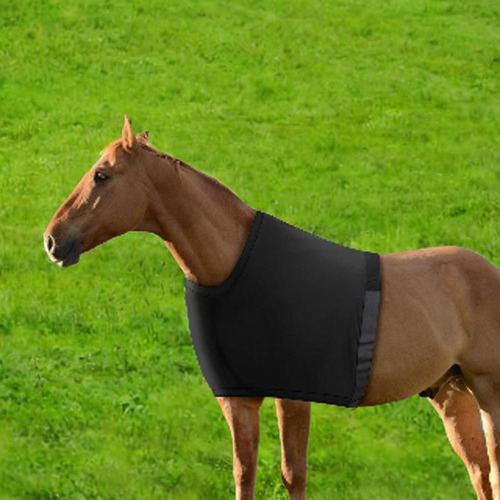 Chaleco Para Caballos Con Protección Para Hombros, Tejido