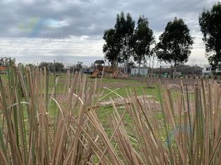 Imagen 19 de 19 de Terreno - Santo Tomás