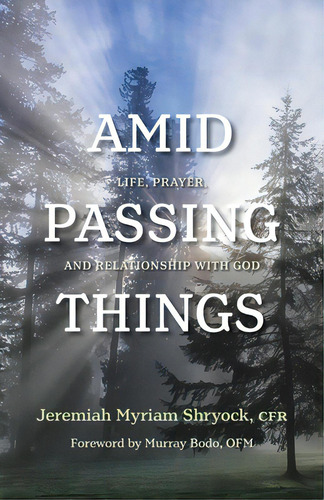 Amid Passing Things: Life, Prayer, And Relationship With God, De Shryock, Jeremiah. Editorial Paraclete Pr, Tapa Blanda En Inglés