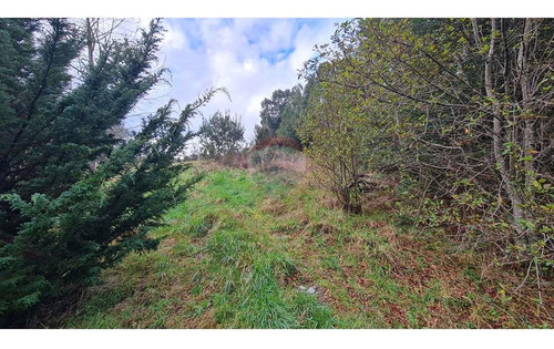 Parcela En Puerto Varas, Con Estero Y Bosque