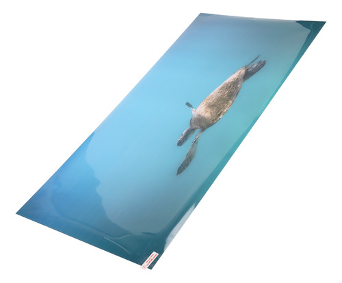 Fondo Acuario Papel Pvc Autoadhesivo Efecto 3d Peces