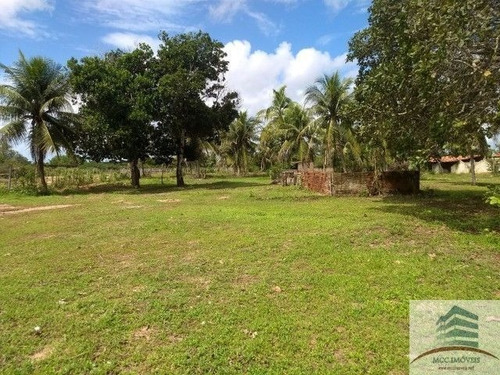 Imagem 8 de 10 de Granja A Venda Em Macaíba
