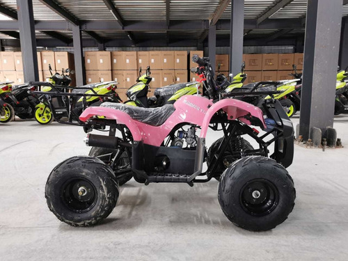 Imagen 1 de 10 de Rxmoto Hummer 110cc