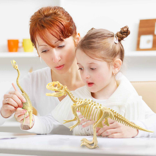 Esqueleto De Dinosaurio Para Niños T Diy Dinosaur Building S