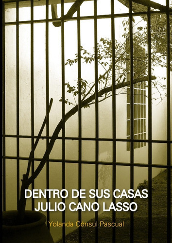 Dentro De Sus Casas Julio Cano Lasso, De Yolanda Consul Pascual. Editorial Nobuko Diseño En Español