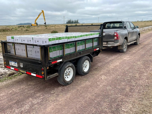 Imagen 17 de 17 de Trailer Para Pallet O Cajones 3.500kg Doble Eje Nuevos