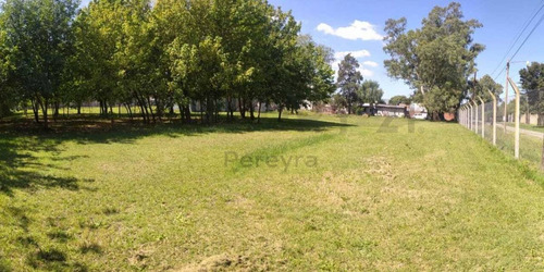Imagen 4 de 8 de 14 Entre 90 Y 93 - Lote En Venta - Villa Elvira
