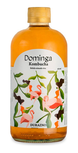 Kombucha